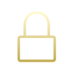 Privacy & security icon